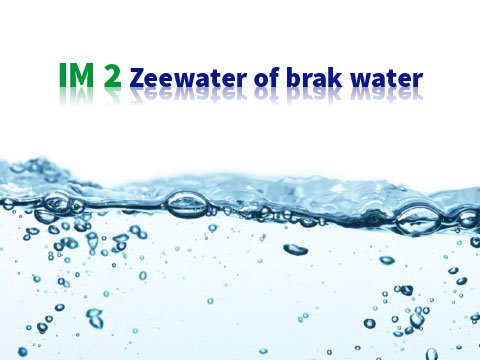 Zeewater of brak water